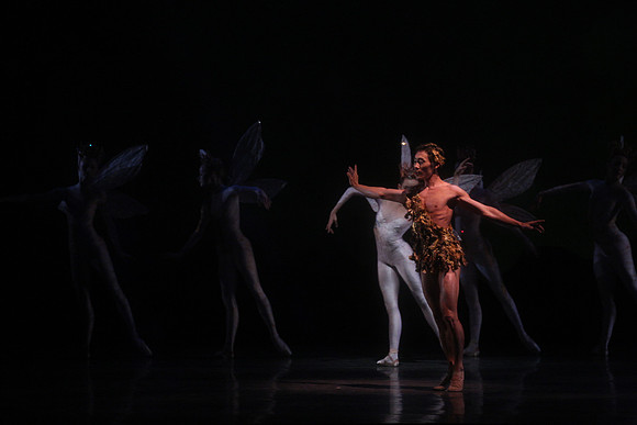 20160317_Midsummer_Night's_Dream_DR_Closeup_IMG_5582
