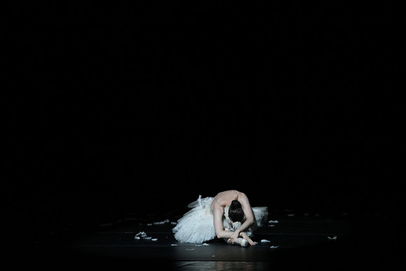 20150215_Les_Ballets_Trockadero_de_Monte_Carlo_CG3P0087