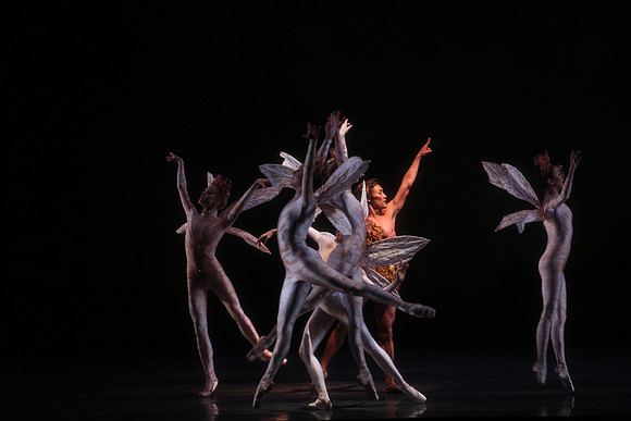 20160317_Midsummer_Night's_Dream_DR_Closeup_IMG_5628