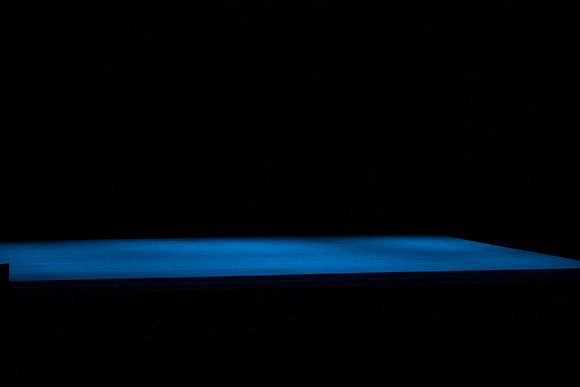 20170223_Alvin_Ailey_Ella_PR_Wide_73A5098