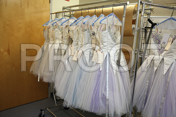 20150901_Fitting_Swan_Lake_Wardrobe_IMG_6273
