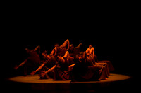 20170223_Alvin_Ailey_Revelations_PR_Closeup_G3P4685