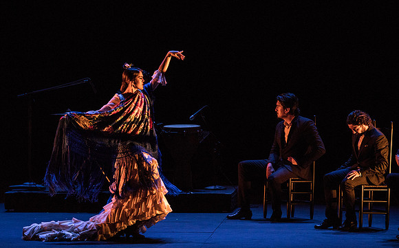 20170302_Stars_of_Flamenco_73A0845