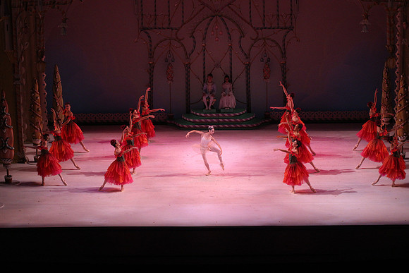 20141229_Nutcracker_WPB_Flowers__CG3P2106
