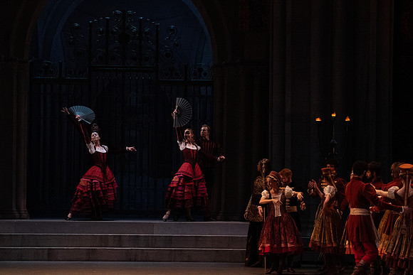 20240418_Swan_Lake_ACT_3_2_Cast_DSC8472.ARW