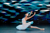 20241026_untitled20241026_Dying Swan__DSC5707