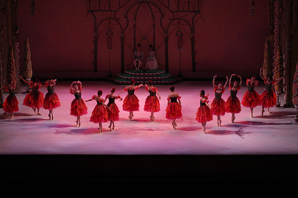 20141229_Nutcracker_WPB_Flowers__CG3P2040