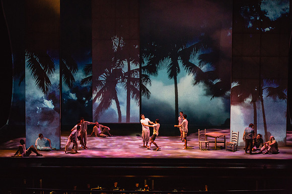 Before Night Falls Florida Grand Opera by Jorge Martin with Dolores M. Koch