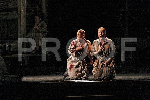 The Passenger Florida Grand Opera by Alexander Medvedev