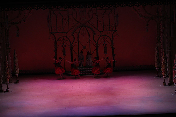 20141229_Nutcracker_WPB_Flowers__CG3P2018