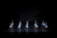 20151022_MCB_Swan_Lake_DR_WD_Arsht__75A6686