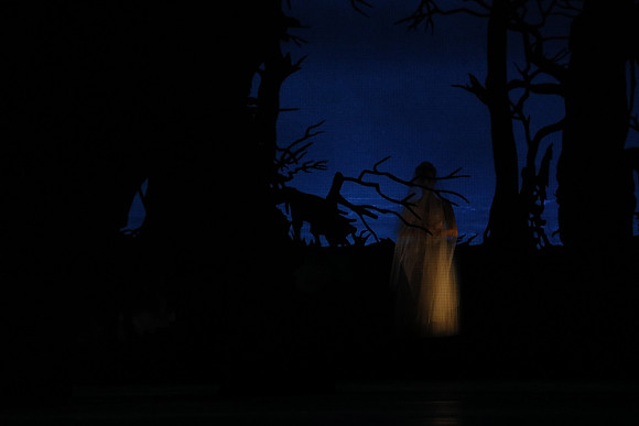 20161020_MCB_Giselle_Act2_DRDA_Arsht_73A5955