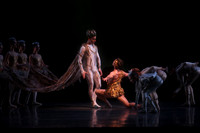 20160317_Midsummer_Nights_Dream_DR_Closeup_IMG_5646