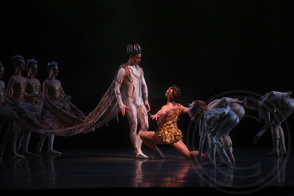 20160317_Midsummer_Nights_Dream_DR_Closeup_IMG_5646