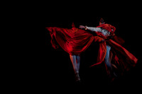 5029_DG_Miami_City_Ballet_Romeo_and_Juliet_Broward_center_2011_MG_4679