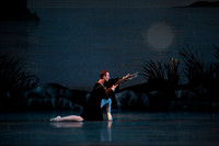 SWAN LAKE PICKS ARSHT OCT-22-2014-photos