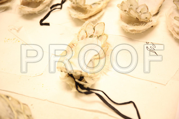 20150901_Fitting_Swan_Lake_Wardrobe_IMG_6219