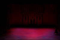 20141229_Nutcracker_WPB_Arabian_CG3P0813