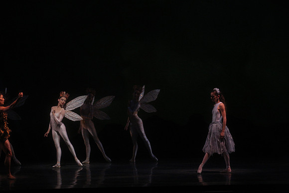 20160317_Midsummer_Night's_Dream_DR_Closeup_IMG_5568