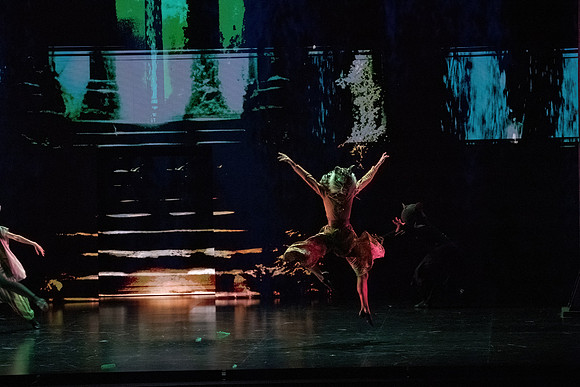 DN20241119_The Magic Flute_FGO PR_DSC0014_DN-severe-noise