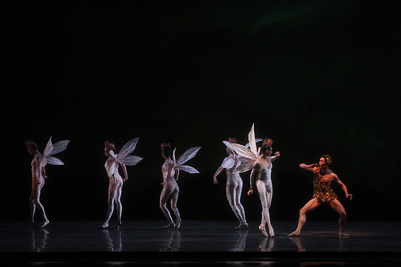 20160317_Midsummer_Night's_Dream_DR_Closeup_IMG_5559