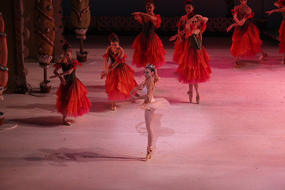 20141229_Nutcracker_WPB_Flowers__CG3P2155