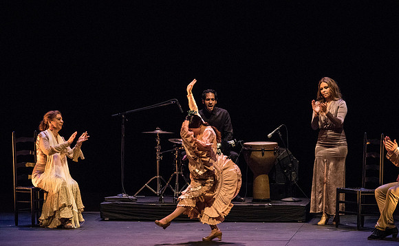 20170302_Stars_of_Flamenco_73A0459