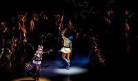 20200222_Firebird_Kravis_2Cast_DSC00018