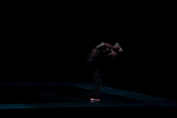 20170223_Alvin_Ailey_Deep_PR_Closeup_G3P0171