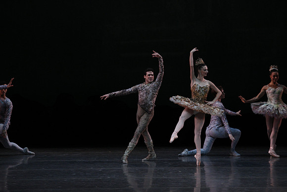 20160318_Midsummer_Night's_Dream_PR_Closeup_G3P0086