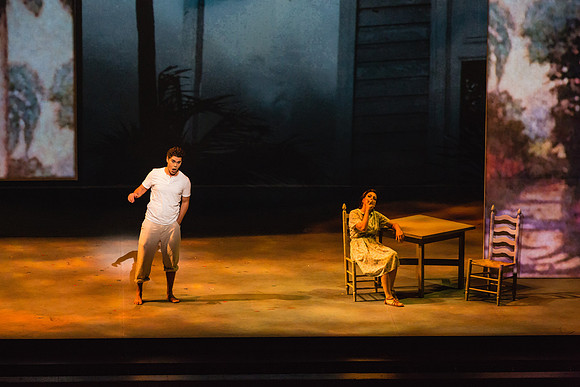 Before Night Falls Florida Grand Opera by Jorge Martin with Dolores M. Koch