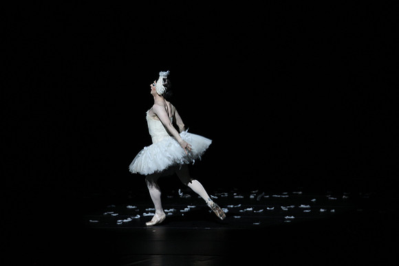 20150215_Les_Ballets_Trockadero_de_Monte_Carlo_CG3P0047