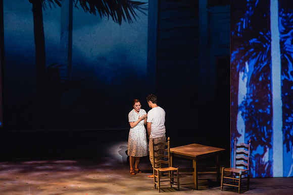 Before Night Falls Florida Grand Opera by Jorge Martin with Dolores M. Koch