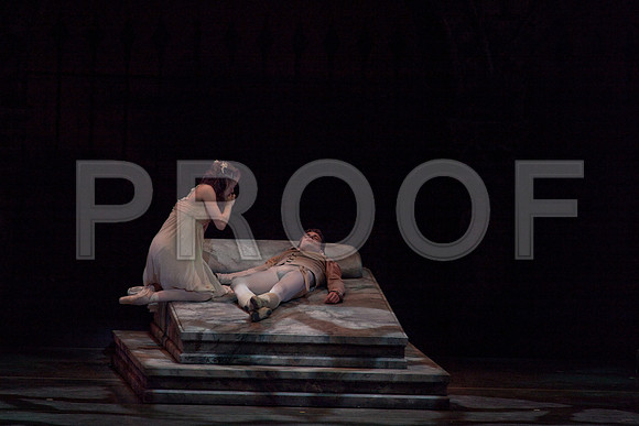 5029_DG_Miami_City_Ballet_Romeo_and_Juliet_Broward_center_2011_MG_7738