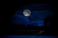 20240418_Swan_Lake_ACT_2_2_Cast_DSC5531.ARW