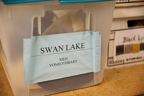 20150901_Fitting_Swan_Lake_Wardrobe_IMG_6241