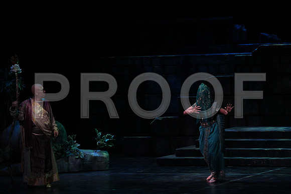 20150303_Pearl_Fisher_Act2_CG3P5988