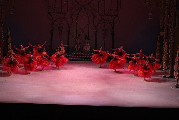 20141229_Nutcracker_WPB_Flowers__CG3P2210