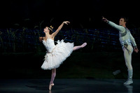 swan Lake 2 Cast Matinee Jennifer for Amber For Tricia 202202