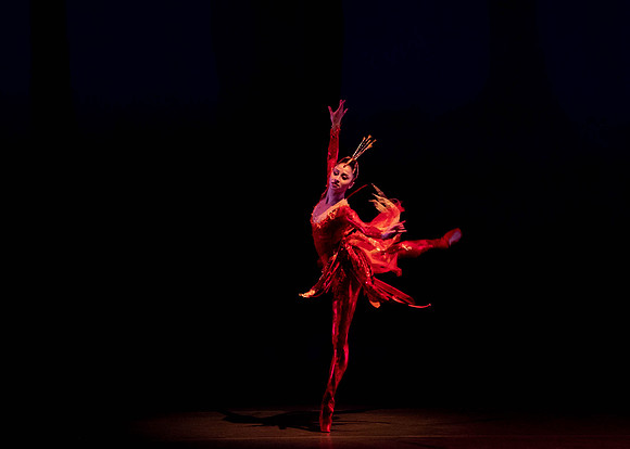 20200301_Firebird_Broward_2Cast_DSC07402