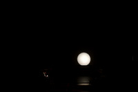 20160211_Year_of_The_Rabbit_Wide_S5A6473