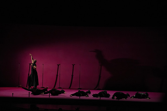 20250305_Compañía Manuel Liñán_ Muerta de amor_DSC5858-DN-severe-noise