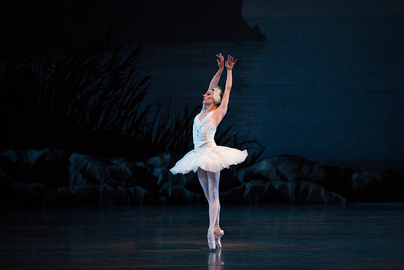 20151022_MCB_Swan_Lake_DR_Arsht_IMG_7674