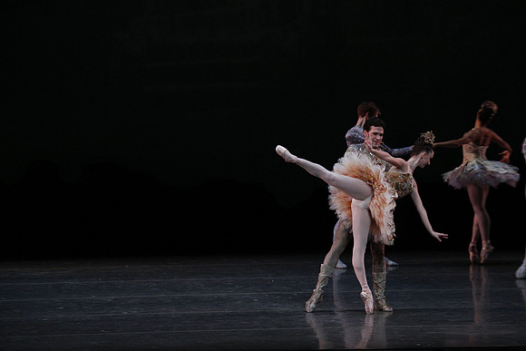 20160318_Midsummer_Night's_Dream_PR_Closeup_G3P0145