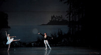 20151025_MCB_Swan_Lake_2Cast_Arsht_IMG_7735