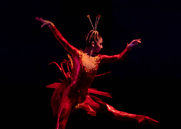 20200301_Firebird_Broward_2Cast_DSC07387