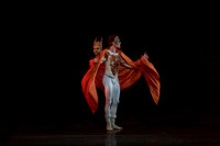 5029_DG_Miami_City_Ballet_Romeo_and_Juliet_Broward_center_2011_MG_4676