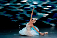 20241026_untitled20241026_Dying Swan__DSC5806