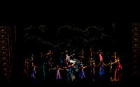 20200222_Firebird_Kravis_2Cast_DSC00052