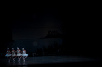 20151025_MCB_Swan_Lake_2Cast_Arsht_IMG_0001